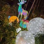 ヒメ日記 2025/11/05 21:21 投稿 牧野るり ホットポイントヴィラ