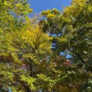 ヒメ日記 2025/11/16 11:19 投稿 牧野るり ホットポイントヴィラ