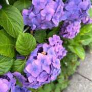 ヒメ日記 2025/06/15 22:50 投稿 さき 東京アロマスタイル