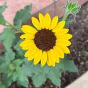 ヒメ日記 2025/07/12 14:44 投稿 さき 東京アロマスタイル