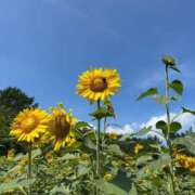 ヒメ日記 2025/08/18 14:28 投稿 さき 東京アロマスタイル