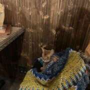 ヒメ日記 2026/02/02 23:18 投稿 さき 東京アロマスタイル