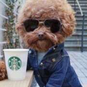 ヒメ日記 2025/06/02 08:56 投稿 なるみ 性腺熟女100％（デリヘル市場）