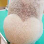 ヒメ日記 2025/09/09 10:02 投稿 なるみ 性腺熟女100％（デリヘル市場）