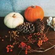 ヒメ日記 2025/09/28 10:11 投稿 なるみ 性腺熟女100％（デリヘル市場）