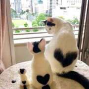 ヒメ日記 2025/10/01 11:43 投稿 なるみ 性腺熟女100％（デリヘル市場）