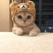 なるみ スタートキャンセルです 性腺熟女100％（デリヘル市場）