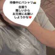 ヒメ日記 2025/07/18 20:54 投稿 ぱらん ORIENTAL