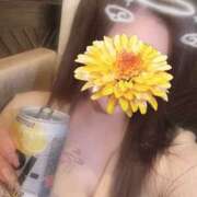 ヒメ日記 2025/07/22 23:52 投稿 ぱらん ORIENTAL