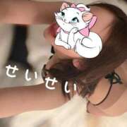 ヒメ日記 2025/07/14 08:01 投稿 セイラ Aroma De Pari（アロマ・デ・パリ）