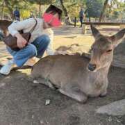 ヒメ日記 2025/11/24 18:32 投稿 セイラ Aroma De Pari（アロマ・デ・パリ）