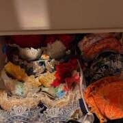 ヒメ日記 2026/02/18 07:59 投稿 セイラ Aroma De Pari（アロマ・デ・パリ）