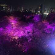 ヒメ日記 2026/04/05 23:24 投稿 れいな ハピネス＆ドリーム福岡