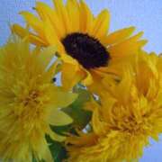 ヒメ日記 2025/07/07 18:46 投稿 レイナ 仙台痴女性感フェチ倶楽部