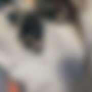 ヒメ日記 2025/06/26 16:16 投稿 いつき さくらん