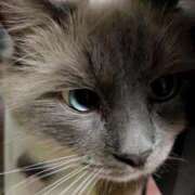 こあき ♬おはようございまーす♬ 熟女の風俗最終章 沼津店