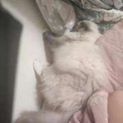 ヒメ日記 2026/03/29 01:58 投稿 こあき 熟女の風俗最終章 沼津店