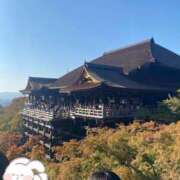 ヒメ日記 2025/10/31 11:40 投稿 このみ奥様 人妻です