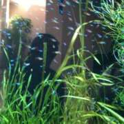 ヒメ日記 2025/10/07 00:55 投稿 ほおずき サンキュー仙台店