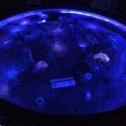 ヒメ日記 2025/10/08 02:35 投稿 ほおずき サンキュー仙台店