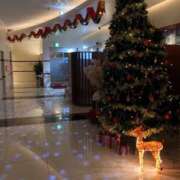 ヒメ日記 2025/11/14 23:35 投稿 ほおずき サンキュー仙台店