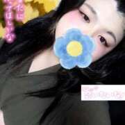 ヒメ日記 2026/02/07 14:55 投稿 ほおずき サンキュー仙台店