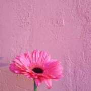 ヒメ日記 2026/01/11 13:28 投稿 さや 錦糸町人妻セレブリティ（ユメオト）