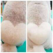 ヒメ日記 2025/05/28 09:46 投稿 なるみ 性腺熟女100％鶯谷（デリヘル市場）