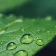 ヒメ日記 2025/10/22 09:51 投稿 なるみ 性腺熟女100％鶯谷（デリヘル市場）