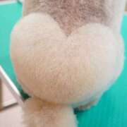 ヒメ日記 2025/11/06 09:56 投稿 なるみ 性腺熟女100％鶯谷（デリヘル市場）