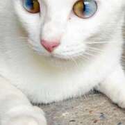 ヒメ日記 2025/12/08 10:12 投稿 なるみ 性腺熟女100％鶯谷（デリヘル市場）