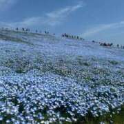 ヒメ日記 2025/05/23 12:09 投稿 あやみ 鶯谷スピン