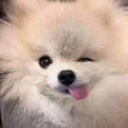 ヒメ日記 2025/09/27 05:10 投稿 のる 渋谷とある風俗店♡やりすぎコレクション