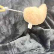 ヒメ日記 2025/11/21 21:21 投稿 のる 渋谷とある風俗店♡やりすぎコレクション