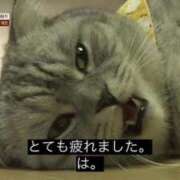 ヒメ日記 2025/12/05 16:20 投稿 のる 渋谷とある風俗店♡やりすぎコレクション