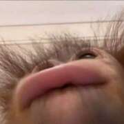 ヒメ日記 2025/07/13 23:03 投稿 りの プラザ２