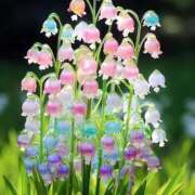 ヒメ日記 2025/05/19 16:46 投稿 すずらん 松本人妻隊