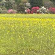 ヒメ日記 2025/06/02 13:01 投稿 すずらん 松本人妻隊