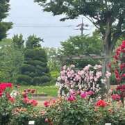 ヒメ日記 2025/06/13 10:01 投稿 すずらん 松本人妻隊