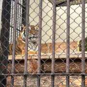 ヒメ日記 2025/06/23 10:02 投稿 すずらん 松本人妻隊