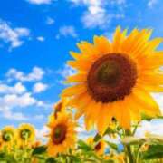 ヒメ日記 2025/08/23 10:01 投稿 すずらん 松本人妻隊