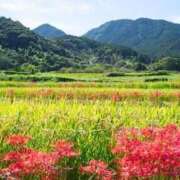 ヒメ日記 2025/09/13 10:01 投稿 すずらん 松本人妻隊