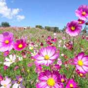 ヒメ日記 2025/09/20 10:01 投稿 すずらん 松本人妻隊