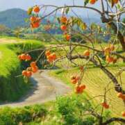 ヒメ日記 2025/10/25 10:00 投稿 すずらん 松本人妻隊