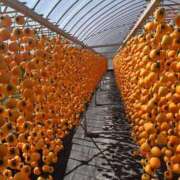 すずらん おはようございます♪ 松本人妻隊