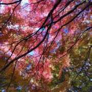 すずらん おはようございます😊 松本人妻隊