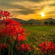 すずらん おはようございます☀️ 松本人妻隊