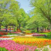 すずらん おはようございます🌸すずらんです🍀 松本人妻隊