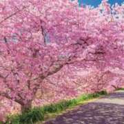 ヒメ日記 2026/04/06 10:02 投稿 すずらん 松本人妻隊