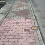 ヒメ日記 2025/05/22 06:08 投稿 あき チューリップ土浦店